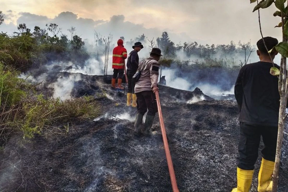 Perlindungan Kesehatan, Pendidikan, dan Bansos Disiapkan bagi Korban Karhutla